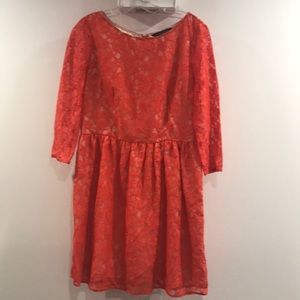 Fall lace dress
